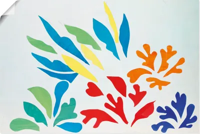 Produktbild von ARTland Poster Acanthes Nr.30. Größe: 60x40 cm