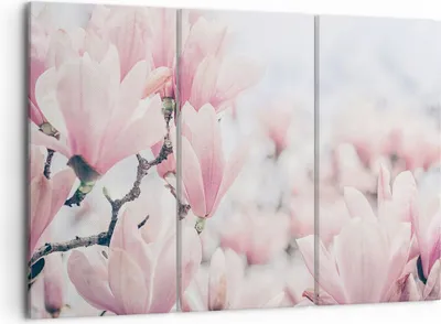 Produktbild von Bild auf Leinwand - Leinwandbild - 3 Teile - Magnolie Blumen Rosa - 105x70cm - Wand Bild - Wanddeko - Wandbilder - Leinwanddruck - Bilder - Wanddekoration - Leinwand bilder - Wandbild - CE105x70-4396