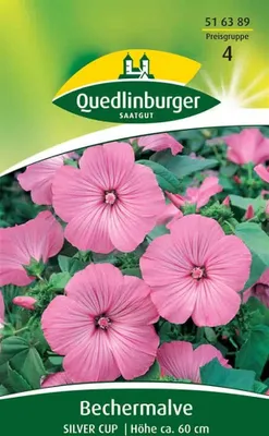 Produktbild von Quedlinburger Saatgut - Becher-Malven Silver Cup - Samen - 516389