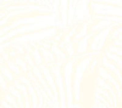 Obrázek produktu pro Beach House: Beach House: Teen Dream -   - (LP / T)