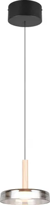 Obrázek produktu pro Závěsné svítidlo TRIO-Leuchten CELESTE DH 22x200 cm černé Závěsné svítidlo