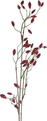 Produktbild von GASPER Hagebuttenzweig Rot 92 cm - Kunstpflanzen