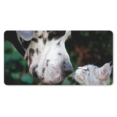 Produktbild von MuchoWow® Mauspad Mousepad Katze - Hund - Deutsche Dogge 60x30 cm - Mousepads - Maus Mat - Pad - Mausunterlage - Nachhaltig