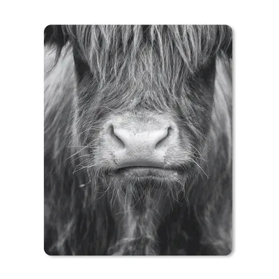 Produktbild von MuchoWow® Mauspad Mousepad Schottischer Highlander - Haare - Tiere 30x40 cm - Mousepads - Maus Mat - Pad - Mausunterlage - Mausmatten