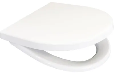 Productafbeelding van Fluidmaster Schwab toiletzitting, model D-Star 300, wit, artikelnummer 1409263401