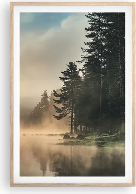 Produktbild von Gerahmtes Poster - Rahmen in heller Eiche - Nebel See Wald - 61x91,5 cm - Wand Bild - Wanddeko - Wandbilder - Kunstposter - Wandposter - Bilderrahmen - Bilder - Kunstdruck - P2NPA61x91-4440