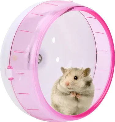 Immagine prodotto di Plastica super silenzioso rotolamento esercizio ruota giocattolo per piccoli animali domestici criceti cavie chinchillapink