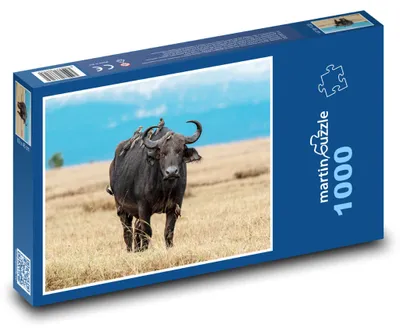 Produktbild von Puzzle 1000 Savanne - Büffel und Landschaft - martinpuzzle