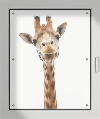 Produktbild von Wallario Lichtschutzbild, Dekorativer Sichtschutz Sonnenschutz 76 x 93 cm mit Motiv: Giraffenkopf - Verdunklung ohne Bohren