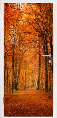 Produktbild von MuchoWow® Türtapete Selbstklebende Türfolie Herbst - Rot - Wald 85x215 cm Türposter Türaufkleber Klebefolie Türklebefolie - Aufkleber für türen - Türplakat - Dekoration