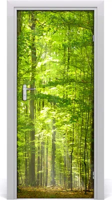 Produktbild von Tulup Türaufkleber 85x205 cm Dekorative Aufkleber Selbstklebend Wasserdichte Tapete Abnehmbar Schlafzimmer Wohnzimmer Wohnkultur - Buchenwaldlandschaften