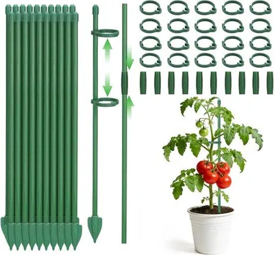 Produktbild von Famanu Pflanzenständer Set 20 Stück 30 cm - ideal für Kletterpflanzen und Blumen