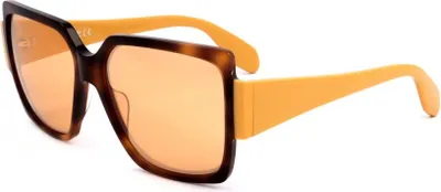 Produktbild von Adidas Original OR0005 Dark havana 55/14/135 Damen Sonnenbrillen