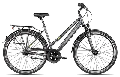 Produktbild von Adler Verona NEXUS Trapez Damen-Citybike mit Rücktrittbremse 28 Zoll Schwarz 45 cm