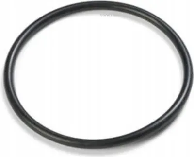 Immagine prodotto di INTEX 10262 Guarnizione O-ring per valvola 10747