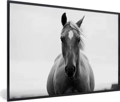 Produktbild von MuchoWow® Gerahmtes Poster Pferd - Tier - Schwarz - Weiß 90x60 cm - Poster mit Schwarzem Bilderrahmen Wandposter Rahmen Foto Bilder - Fotorahmen - Foto-Plakat