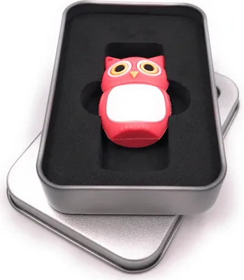Produktbild von Onwomania Eule Vogel in Pink USB Stick in Alu Geschenkbox 16 GB USB 2.0