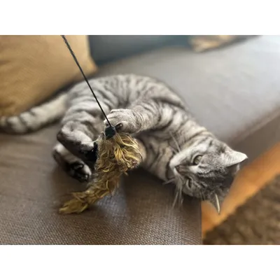 Produktbild von Aumüller Katzenspielangel WOOZLE - mit Katzenminze