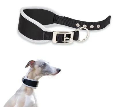 Produktbild von Ferplast Hundehalsband ERGOCOMFORT, Windhundhalsband, weiche Polsterung, Rot