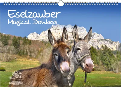 Produktbild von Eselzauber DIN A3 Immerwährender Kalender Esel - Seelenzauber