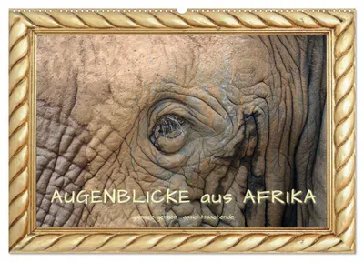 Produktbild von Augenblicke aus Afrika (Wandkalender 2027 DIN A2 quer), CALVENDO Monatskalender