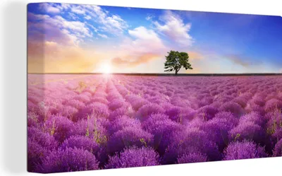 Obrázek produktu pro OneMillionCanvasses® Malba na plátně Nástěnná malba na plátně - Levandule - Strom - Západ slunce - Fialová - 40x20cm