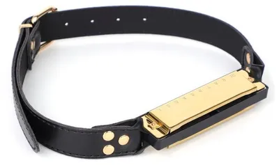 Imagen del producto de Acordeón, regalo chapado en oro, para divertirse