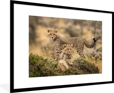 Produktbild von MuchoWow® MuchoWow® Gerahmtes Poster Leopard - Jungtier - Natur 90x60 cm - Poster mit zchwarzem Bilderrahmen - Wanddekoration - Fotos