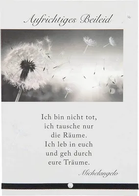 Produktbild von Depesche Trauerkarten Sortierung : Aufrichtiges Beileid! Ich bin nicht... Trauerkarten Sortierung : Aufrichtiges Beileid! Ich bin nicht...