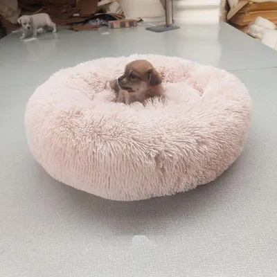 Obrázek produktu pro Psí pelíšek Donut, samoochránný, prodyšný, měkký, 80 cm, béžový