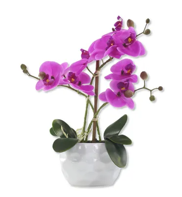 Produktbild von Kunst-Pflanze Orchidee ovaler Topf weiß hochglanz und lila Blüten 33cm hoch künstliche Blume Phalaenopsis