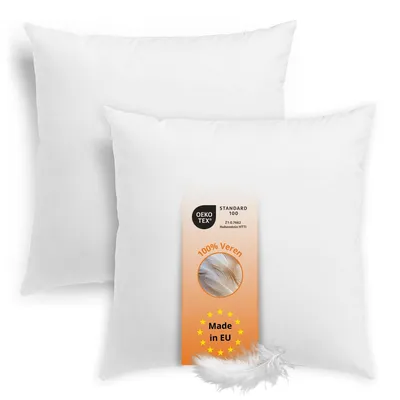 Productafbeelding van Verenkussen 45 x 45 cm, set van 2, kussensloop, vulling 100% veren, Downpass, sleepling