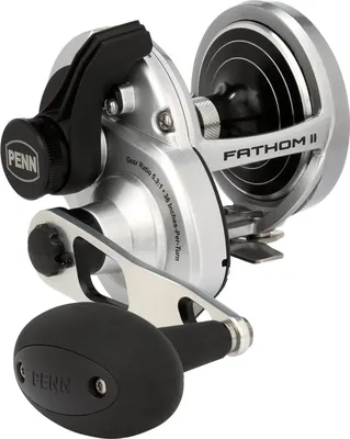 Image de Penn Fathom II Lever Drag - Moulinet multiple