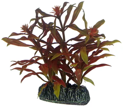 Produktbild von Hobby Nesaea, künstliche Pflanze 7 cm