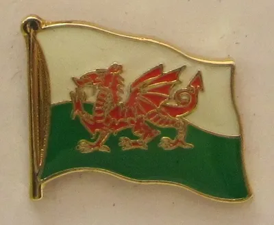 Produktbild von Pin Anstecker Flagge Fahne Wales