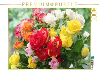Produktbild von CALVENDO Puzzle Bunter Rosenstrauß | 1000 Teile Lege-Größe 64x48cm Foto-Puzzle für glückliche Stunden
