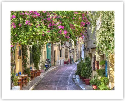 Produktbild von Poster - Poster ohne Rahmen - Straße dekoration blumen griechenland - 50x40 cm - Wand Bild - Wanddeko - Wandbilder - Kunstposter - Wandposter - Bilder - Kunstdruck - Wandbild - P2XAA50x40-2429