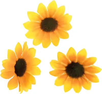 Produktbild von Glorex Sonnenblumenblüten 30-35 mm 15 Stück