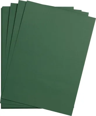 Produktbild von Clairefontaine Maya Fotokarton 270g A3 25 Bogen - Antikgrün 48079C
