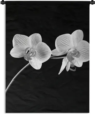 Produktbild von MuchoWow® Wandteppich Wandbehang Orchidee - Blumen - Schwarz - Rosa - Knöpfe 90x120 cm Tapisserie Dekoration Wandtuch - Wanddeko