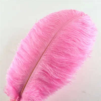 Obrázek produktu pro Pštrosí peří 35-40 cm, barva růžová / 1ks