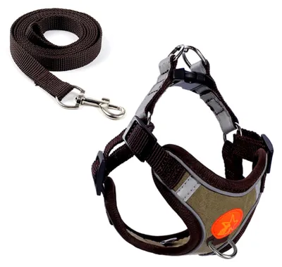 Produktbild von Hundegeschirr mit Zugentlastung für kleine und mittelgroße Hunde, reflektierend, atmungsaktiv, aus Mesh, weich, bequem, verstellbar, Weste für kleine Hunde und Katzen zum Gehen (S)