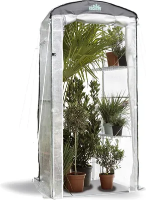 Produktbild von BioGreen Überwinterungszelt "Patioflora 100/L" für Pflanzen L 100 x B 80 x H 220 cm - 4 Belüftungsfenster