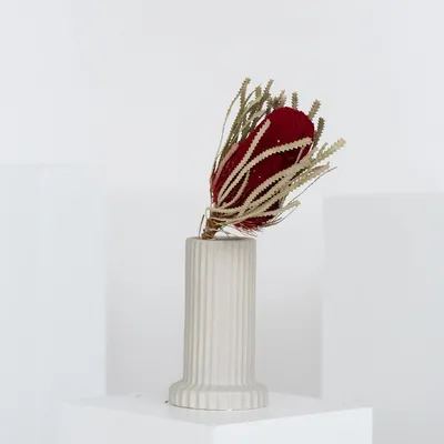Immagine prodotto di Banksia - Fiore secco essiccato (circa 30cm) - Esotico fiore di protea in