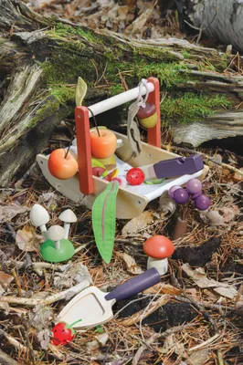 Image de Tender Leaf Jouets en bois Panier de fruits sauvages éducatif