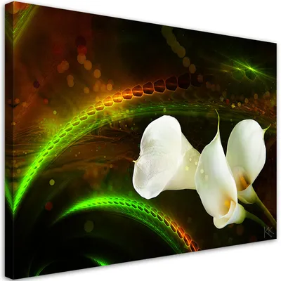 Immagine prodotto di Quadro su tela, Fiore bianco sullo sfondo marrone - 60x40