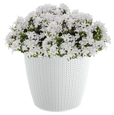 Produktbild von Prosperplast Pflanzentopf - perlweis - Kunststoff - D13 x 11 cm