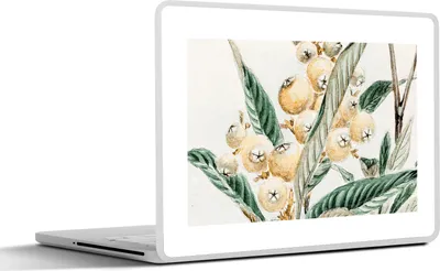 Produktbild von MuchoWow® Laptop Aufkleber Sticker Cover Beere - Japanisch - Blatt - Vintage 30x21 cm - Sticker für Laptop - Selbstklebend