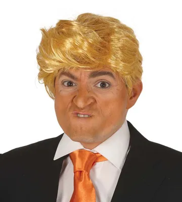 Zdjęcie produktu dla Blond peruka prezydencka dla mężczyzn