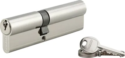 Image de Cylindre de serrure double entrée SA UNIKEY (achetez-en plusieurs, ouvrez avec la même clé),  45x60mm, 3 clés, nickelé - THIRARD